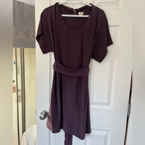 Aritzia Wilfred plum coloured silk dress